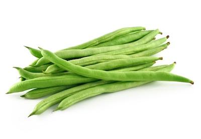 四季豆
