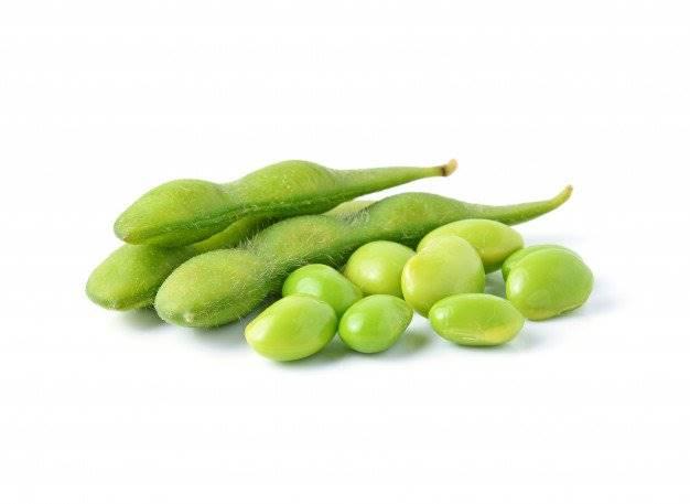 毛豆