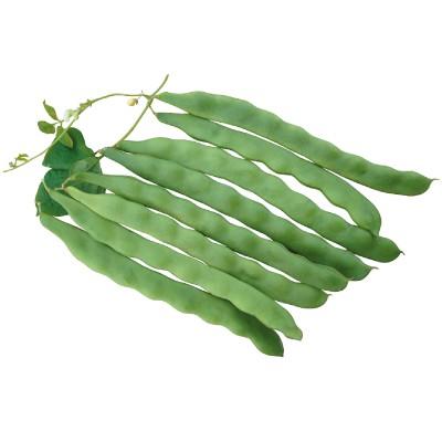 醜豆