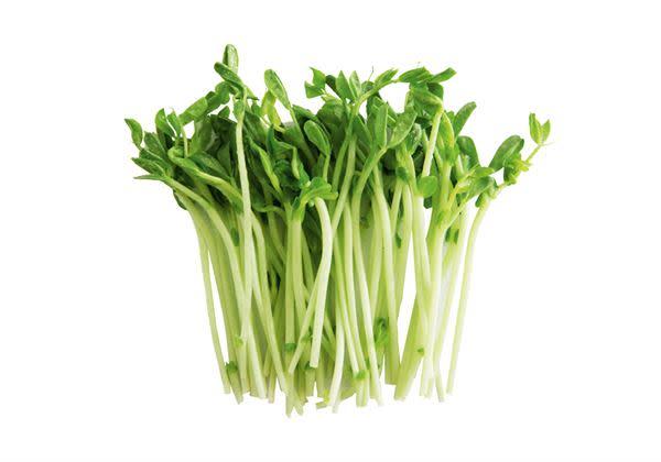 豌豆苗