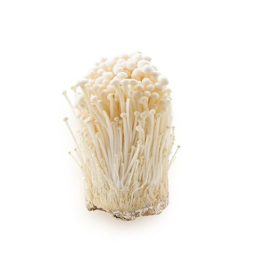 金針菇