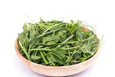 龍鬚菜