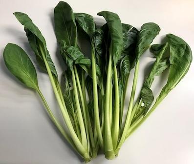 油菜