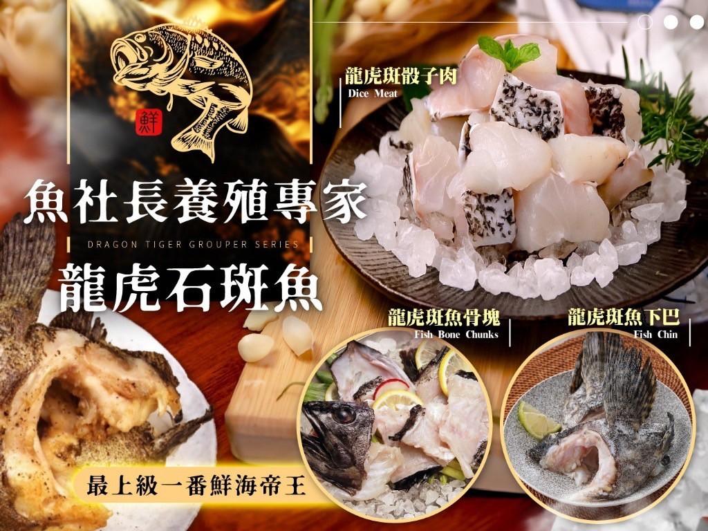 魚社長龍虎石斑