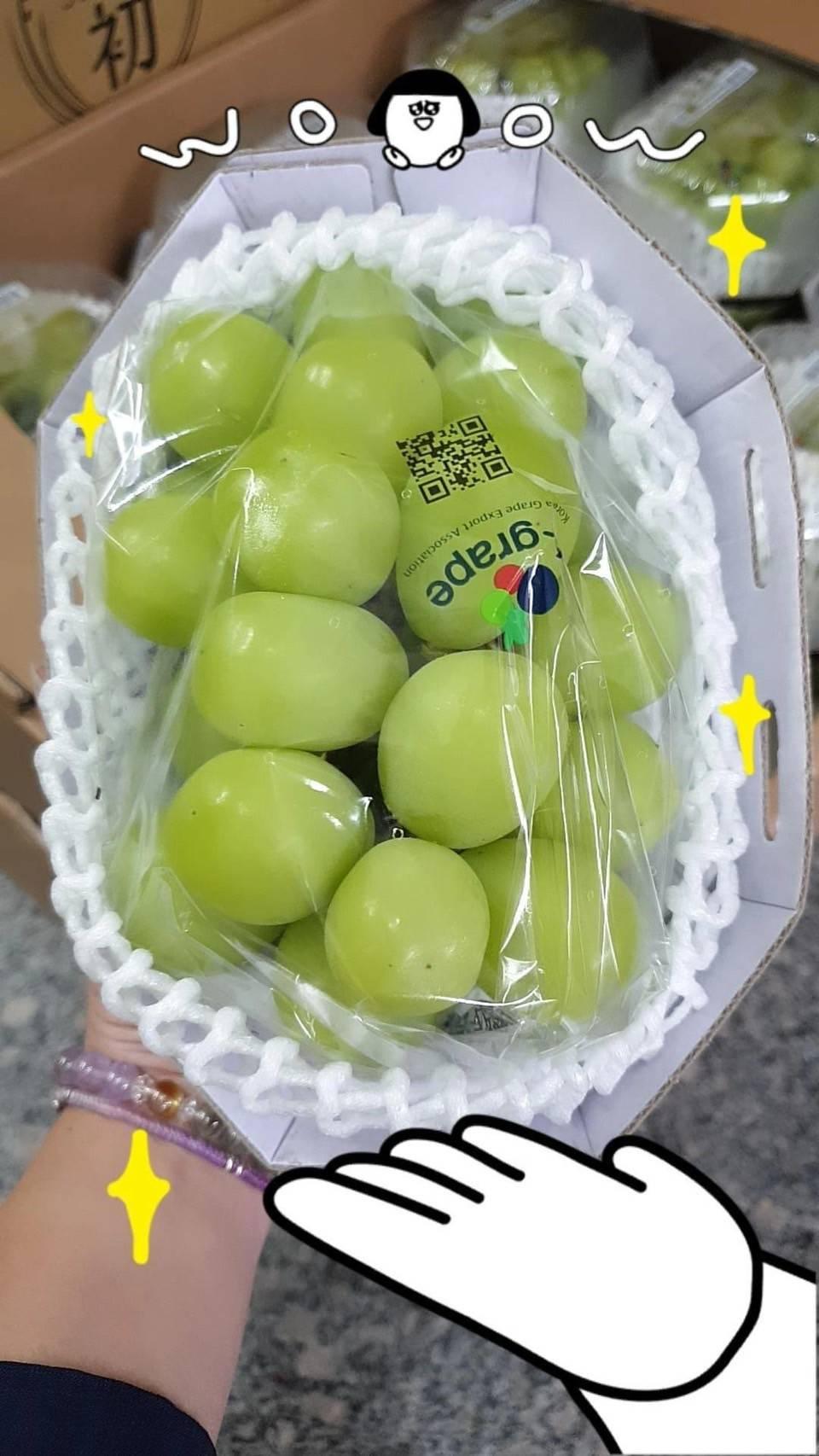 韓國麝香葡萄