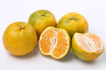 椪柑