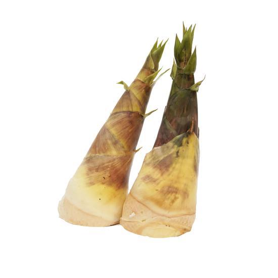 烏殼綠竹筍