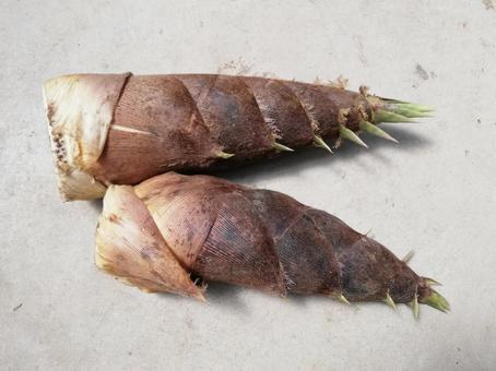 孟宗筍